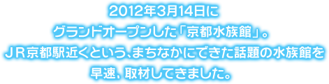 2012年3月14日にグランドオープンした「京都水族館」。ＪＲ京都駅近くという､まちなかにできた話題の水族館を早速、取材してきました。