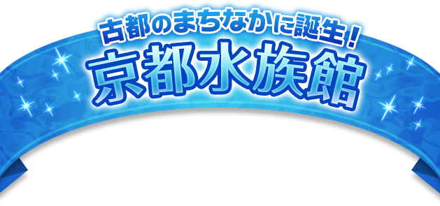 古都のまちなかに誕生！京都水族館